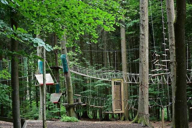 lanové centrum v lese