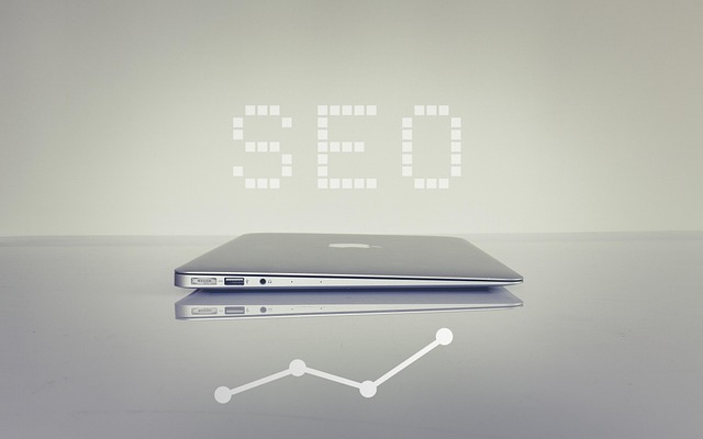 audit SEO